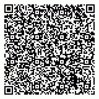 vCard 79131117331