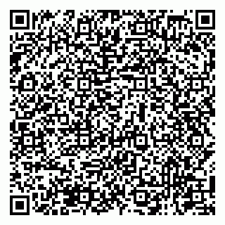 vCard 79131118100