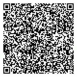 vCard 79131118331