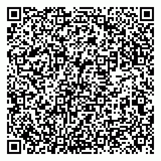vCard 79131119081