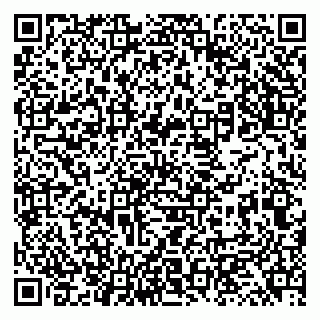 vCard 79131119085
