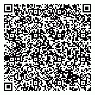vCard 79131119310