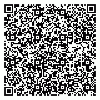 vCard 79131119331