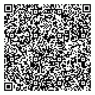 vCard 79131119884