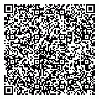 vCard 79131120004