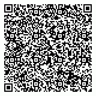vCard 79131120010