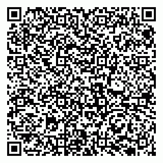vCard 79131120100