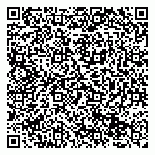 vCard 79131120207