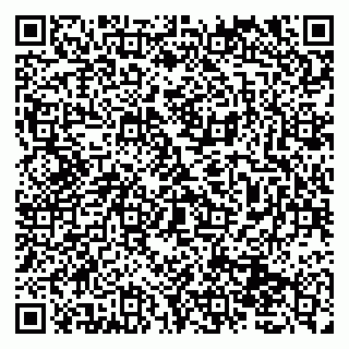 vCard 79131121002