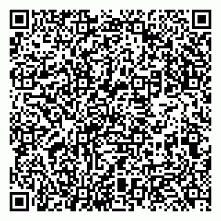 vCard 79131122015