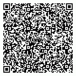 vCard 79131122020