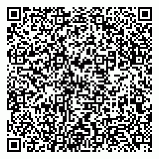 vCard 79131123333