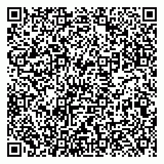 vCard 79131123800
