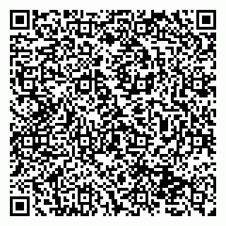 vCard 79131124100