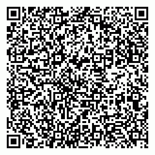 vCard 79131124303