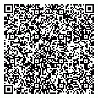 vCard 79131124331