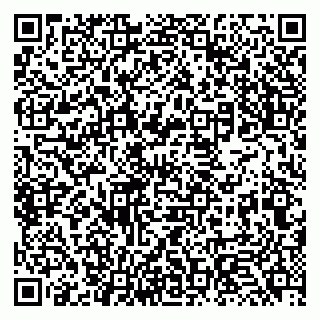 vCard 79131125331