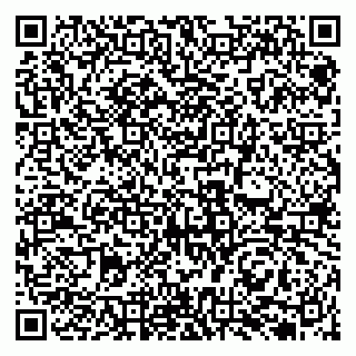 vCard 79131126000