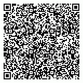 vCard 79131126331