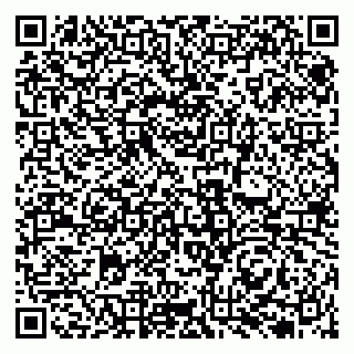 vCard 79131127204