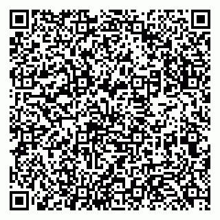 vCard 79131127252