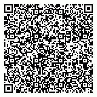 vCard 79131127331