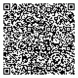 vCard 79131127704