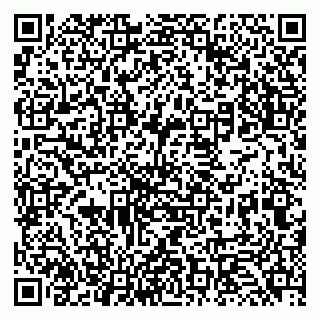 vCard 79131128200