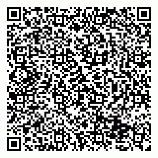 vCard 79131129331
