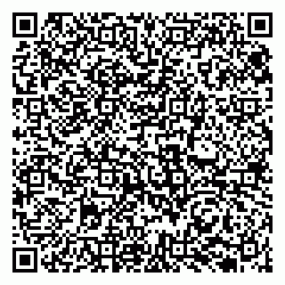 vCard 79131129745
