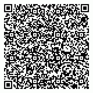 vCard 79131129909