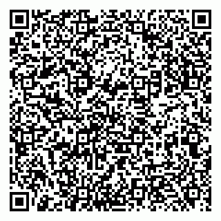 vCard 79131129999