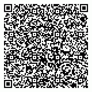 vCard 79131130833