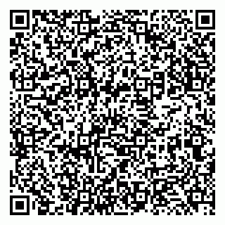 vCard 79131132001