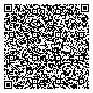 vCard 79131132003