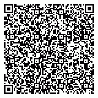 vCard 79131132004