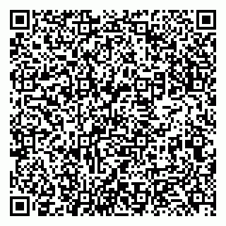 vCard 79131132011