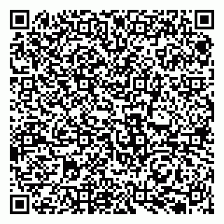 vCard 79131132017