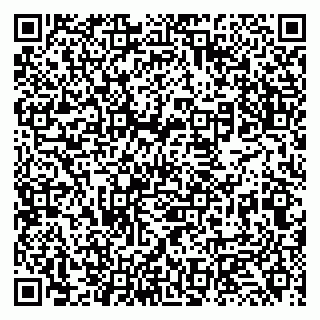 vCard 79131132018