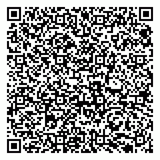 vCard 79131132500