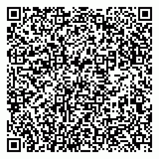 vCard 79131133045