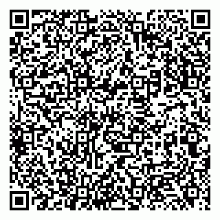 vCard 79131133119