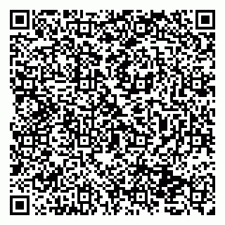 vCard 79131133131