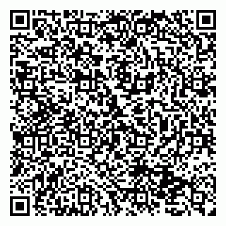 vCard 79131133167