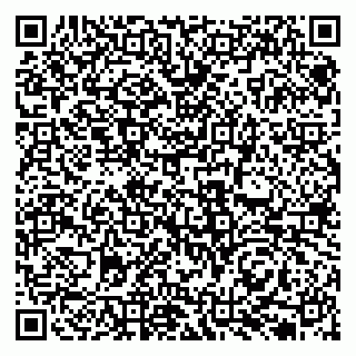 vCard 79131133294