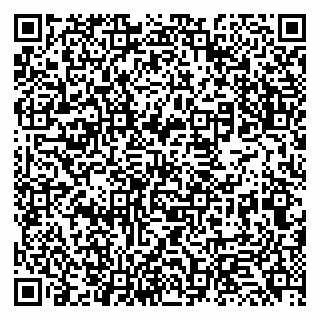 vCard 79131133332