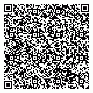 vCard 79131133503