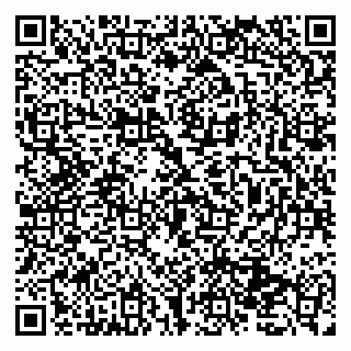 vCard 79131133596
