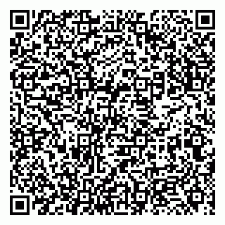 vCard 79131133713