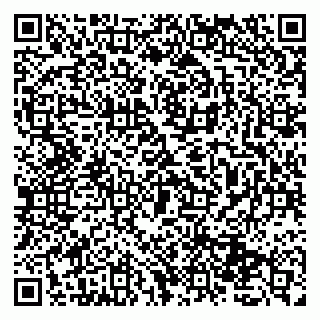 vCard 79131133751